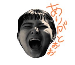 435631195