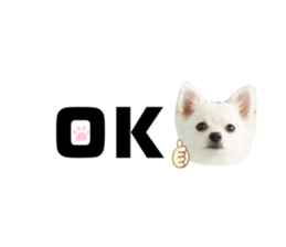 435660573