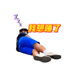 435662687