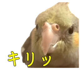 435671999