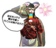 435710904