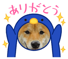 435712023