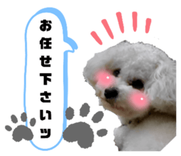 435748389