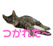 435786388