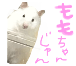 435835737