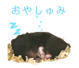 435835740