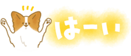 435890479