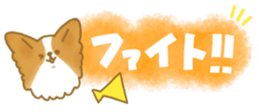 435890484