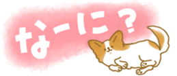 435890492