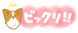 435890500