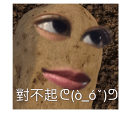 435910426