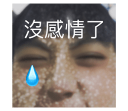 435910429