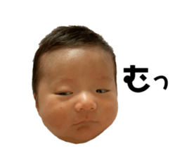 435945390