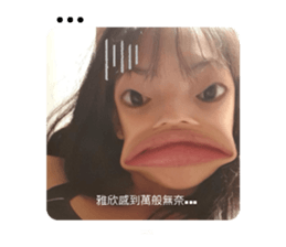 435961637