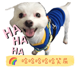 435966447
