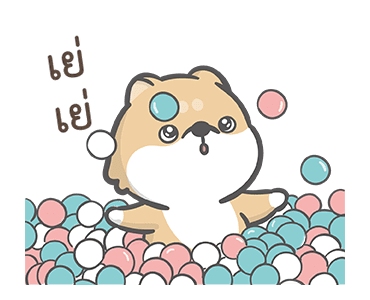 จอห์น ชิบะโชว์ รูปที่ 3