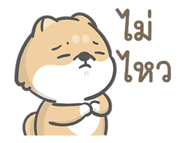 จอห์น ชิบะโชว์ รูปที่ 6