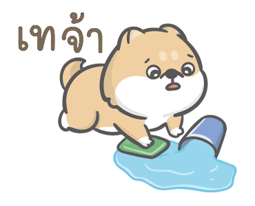 จอห์น ชิบะโชว์ รูปที่ 19