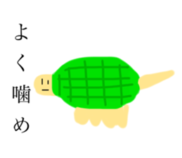 436023981