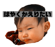 436024923