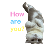436100959