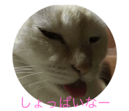 436152992