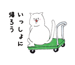4362481