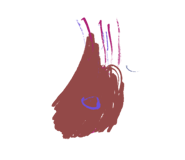 436310454