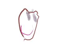 436310457