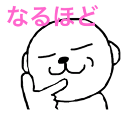 43631505