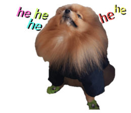 436358333