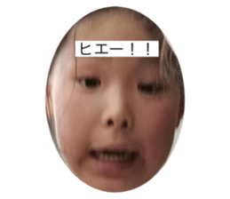 436405204