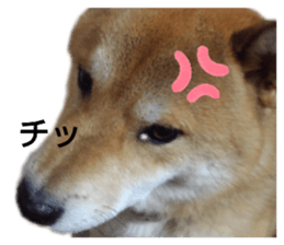 436437700