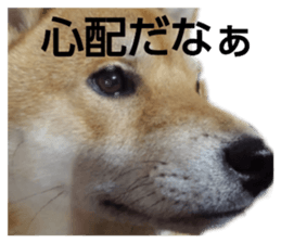 436437701
