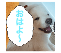 436443656