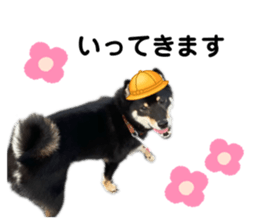 436456678