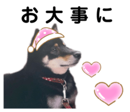 436456684
