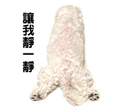 436500995