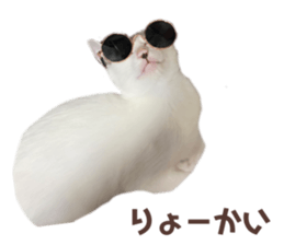 436518859
