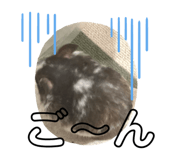 436555914