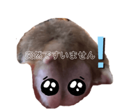 436555917