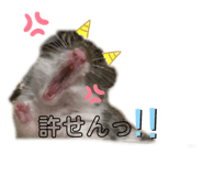 436555920
