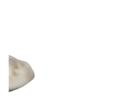 436576417