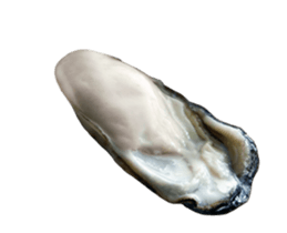 436576422