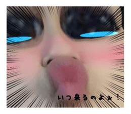 436640375
