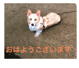 436667734