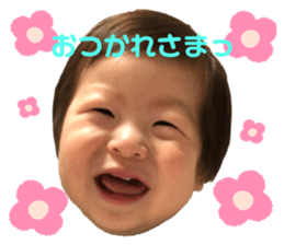 436681538