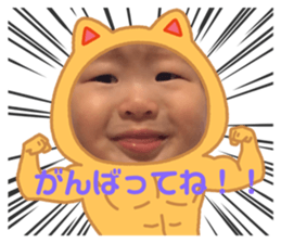 436681539