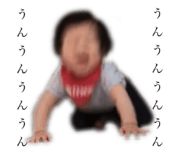 436681544