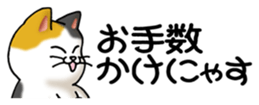 436700878